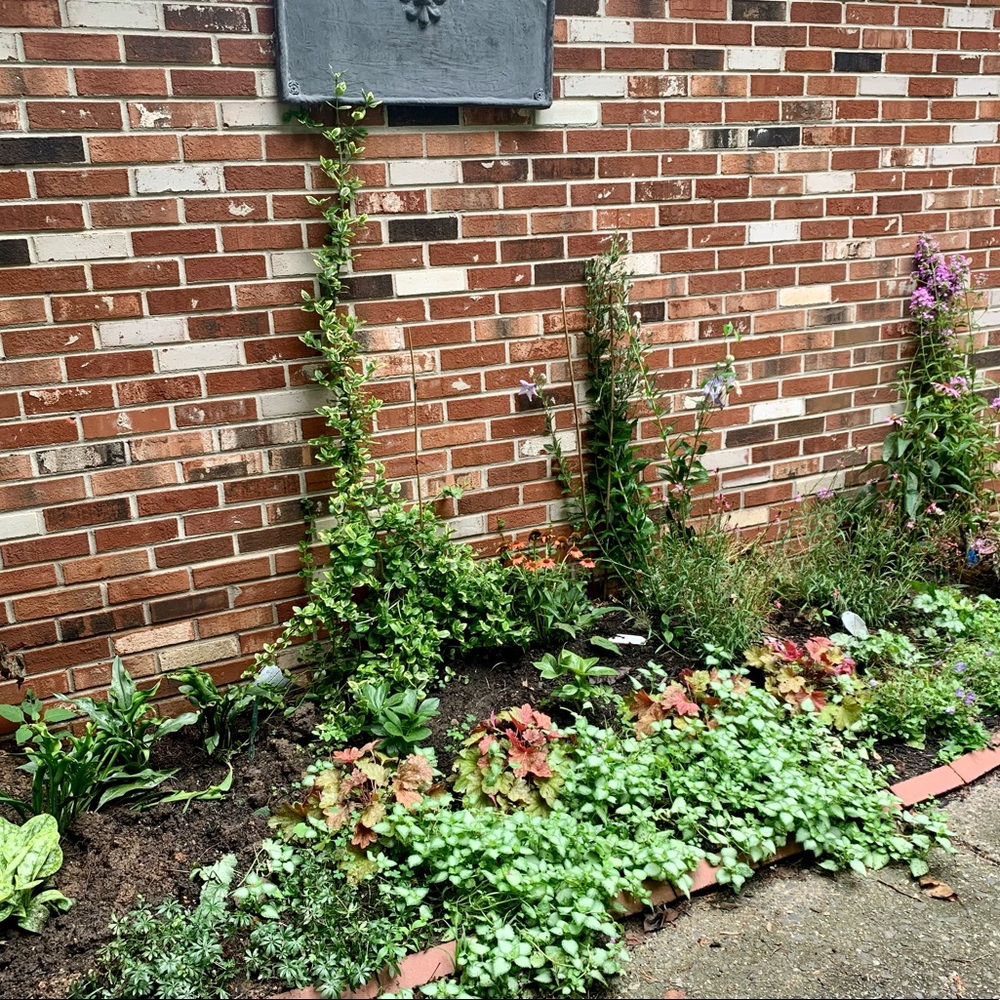 Meet your Posher, Lucy